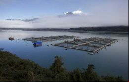 La acuicultura comercial tiene muchas posiciones en contra, y ambientalistas toman como ejemplo muchos de los errores que se han cometido con la cría de salmones en regiones de Chile 