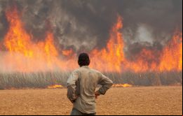 Se cree que el número sin precedentes de incendios en São Paulo ha sido provocado deliberadamente