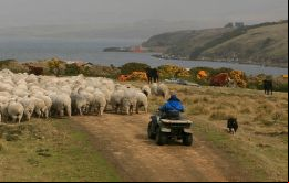Precisamos un encare totalizador para enfocar la situación del campo y las economías rurales, resaltó la Dra. Clausen.