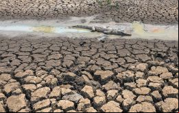 El cambio climático y El Niño se encuentran entre los factores que contribuyen a este fenómeno