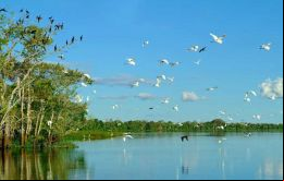 La iniciativa de la Autoridad Climática había sido debatida después de que Lula ganara en 2022. Crisis ambientales en Rio Grande do Sul y Amazonas la han desempolvado