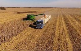 Paraguay exportaría unos 7,8 millones de toneladas, principalmente a Argentina, pero también a Brasil y Rusia