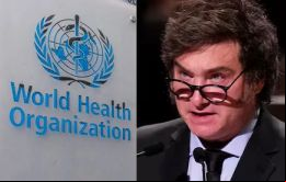 Irse de la OMS no significa irse de la OPS, explicó el ministro de Salud Mario Lugones