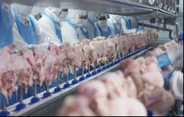 En el caso de la carne de cerdo y de ave, Singapur es un mercado más grande que el taiwanés, ya que importa al 100%; no producen nada, explicó Martín