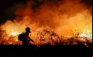 El cambio climático puede dificultar la recuperación natural de los bosques tras los incendios