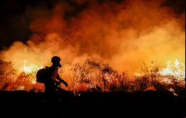 El cambio climático puede dificultar la recuperación natural de los bosques tras los incendios