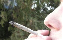 El 11% de los encuestados consumió marihuana al menos una vez 