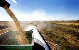 Mientras sigue la negociación, otros exportadores se negaron a embarcar