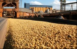 Argentina es el mayor exportador mundial de aceite y harina de soja, y el tercero del poroto de la oleaginosa