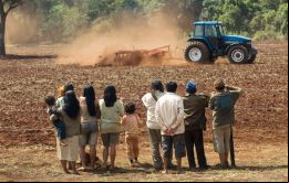 Según Survival las tierras han sido robadas por poderosos rancheros que las utilizan para ganado y producción de caña de azúcar y soja