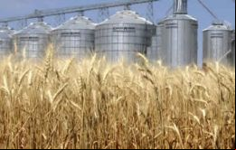 El rinde de 3.317 kilos por hectárea es considerado uno de los mejores en zafras recientes