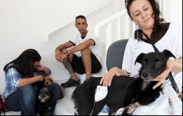 El primer centro veterinario público del 2012 ya ha atendido más de 280.000 casos
