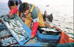 En diciembre se destacó el crecimiento de la pesca 