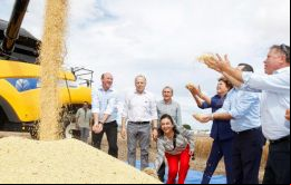 La cosecha de soja este año rondaría los 90 millones de toneladas 