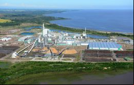 Montes del Plata tiene capacidad para 1.3 millones de toneladas al año de pulpa