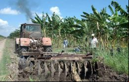 Cuba posee 6,3 millones de hectáreas de tierras agrícolas y sólo están cultivadas 2,6.