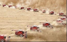Cosechas récord tanto en Estados Unidos como en América del Sur están presionando los precios según Ecolatina
