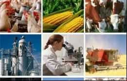 Argentina fue la primera potencia agrícola y estrella, foco de atracción de inversiones y migrantes de todo el mundo, pero hoy es similar a Venezuela