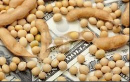 Las primeras estimaciones para la soja y otros productos arrojan una pérdida para 2015 de 4.000 millones de dólares por disminución de precios