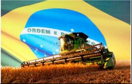 El aumento de producción a niveles récords será posible ante todo debido a que el área cultivada llegará a 56 millones de hectáreas, con un aumento del 5.9%
