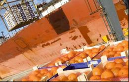 Para todo el 2014 se anticipa “una modesta tasa de crecimiento de las exportaciones de la región del 0,8% y una caída de las importaciones al 0,6%”.