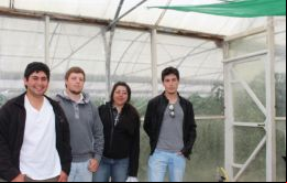 El primer grupo lo integraron Davor Domic, David Opazo, Sebastián Vesperinas y Karla Acuña, y estuvieron un mes en las Falklands 