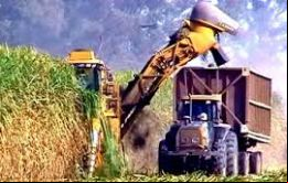 El índice de precios del azúcar de la FAO registró un promedio 187,9 puntos en marzo, con un marcado descenso del 9,2 por ciento desde febrero