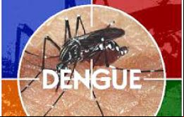 La región más afectada por la enfermedad que transmite el mosquito Aedes aegypti es Centro-Oeste, con 59.855 casos y una incidencia de 393,3 enfermos
