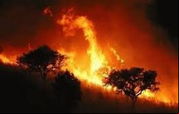 Rusia dice que los incendios arrasaron 1.500 viviendas, en unas 40 localidades e hicieron que más de 5.000 personas, entre ellos mil niños, se quedasen sin hogar.