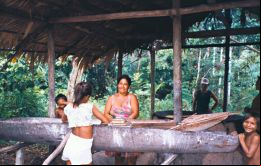 La mayor de las tres reservas, ubicada en el estado de Amazonas, es la tierra Mapari, con una área de 157.246 hectáreas y habitada por los indios kaixanas.