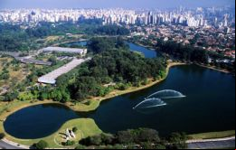 São Paulo, el más rico y poblado, lidera el número de muertes con 169 de las 229 registradas hasta ahora
