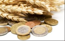 Los precios de los cereales registraron una caída en su índice de un 1,3%, explicado en parte por la baja en los valores del trigo 