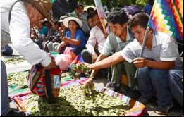 La coca en Bolivia tiene usos culturales y medicinales reconocidos en la Constitución, pero parte importante de la producción se desvía al narcotráfico