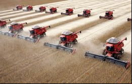 La producción de cereales, leguminosas y oleaginosas superará en un 6,7% la de 2014 (192,9 millones de toneladas), hasta ahora la mayor cosecha para Brasil 