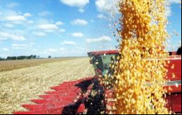 La producción de cereales, leguminosas y oleaginosas en 2015 será de 210,6 millones de toneladas, un volumen récord y 8,2% superior a la de 2014