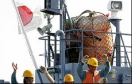Tokio autorizará cazar 333 ejemplares de ballena Minke para cumplir la sentencia de 2014 de la CIJ