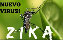 La alerta epidemiológica también instó a redoblar sus esfuerzos para reducir la presencia del mosquito transmisor del zika.