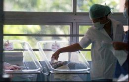 Según el Ministerio de Salud, los casos de microcefalia probablemente causados por este virus han sido registrados en 549 municipios de 20 de los 27 estados