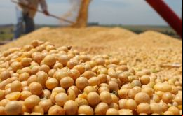Según el USDA Argentina cosechará 58,5 millones de toneladas de soja, un alza sobre los 57 millones de toneladas estimados en enero.