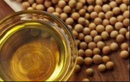 Argentina es el mayor exportador mundial de harina y aceite de soja y el tercero del poroto sin procesar, detrás de Estados Unidos y de Brasil.