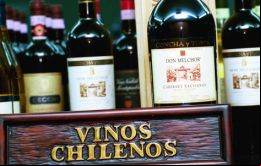 Las ventas de vino chileno a Japón han crecido con fuerza en la última década, ya que en 2005 los caldos procedentes de Chile se situaban los quintos por volumen.