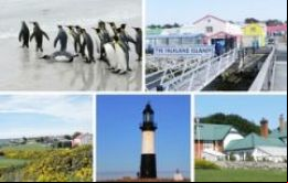 La competencia regional tiene como premio un viaje de una semana a las Islas Falkland con todos los gastos pagos. 
