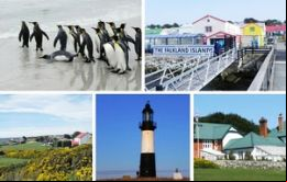 Why would I like to meet my neighbors from the Falkland Islands?