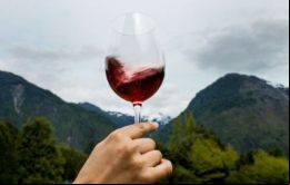 Algunos parajes del frío y lluvioso sur de Chile son ahora bastante soleados como para madurar las uvas con las que se produce el Pinot Noir Puelo Patagonia