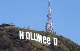 Los sujetos modificaron el letrero y cambiaron por completo su sentido, pues ahora se lee la palabra Hollyweed, que en español significa Holly-marihuana.