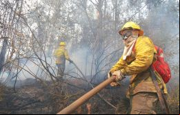  Más de 4.500 bomberos voluntarios y brigadistas forestales además de unos 4.600 militares policías y funcionarios públicos, se enfrentan a los voraces incendios