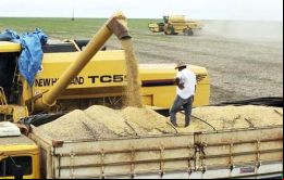 Se prevé un incremento en la producción agrícola en el primer trimestre gracias a un volumen extraordinario en las cosechas. 