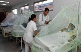 En cuanto a chikunguña hay tres casos fueron confirmados en el distrito de Paraguarí (centro), mientras que hay doce casos probables en Asunción