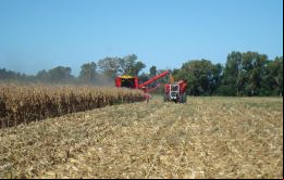 Desde el sector agrícola, el Ministerio confirmó que, cuando se lleva recolectado el 71% de la compaña de soja, la cosecha se mantendrá en los 58 millones de toneladas
