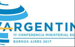 La iniciativa será discutida en la 11 Conferencia de OMC que se celebrará en Buenos Aires en diciembre.